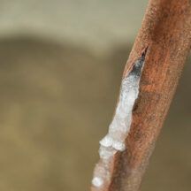 Preparing Your Heating & Plumbing Systems for Winter
